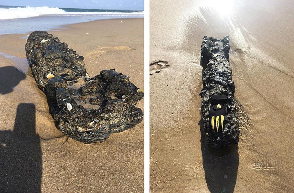 Photos of the object found on Shelly Island on Friday morning.