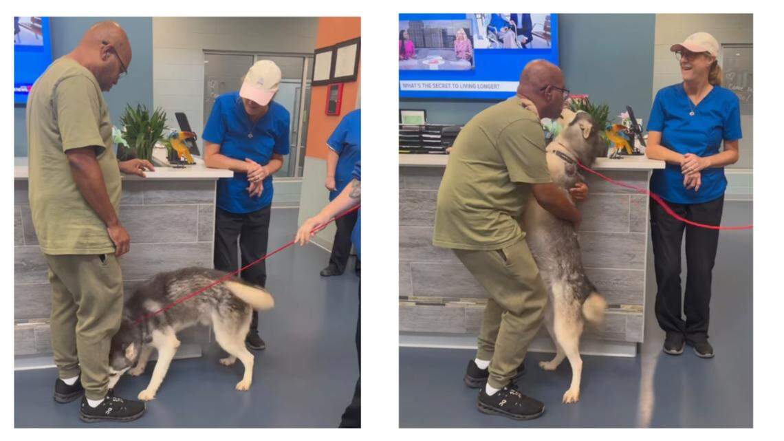 A missing pup reunited with his owner in North Carolina. A missing pup reunited with his owner in North Carolina.