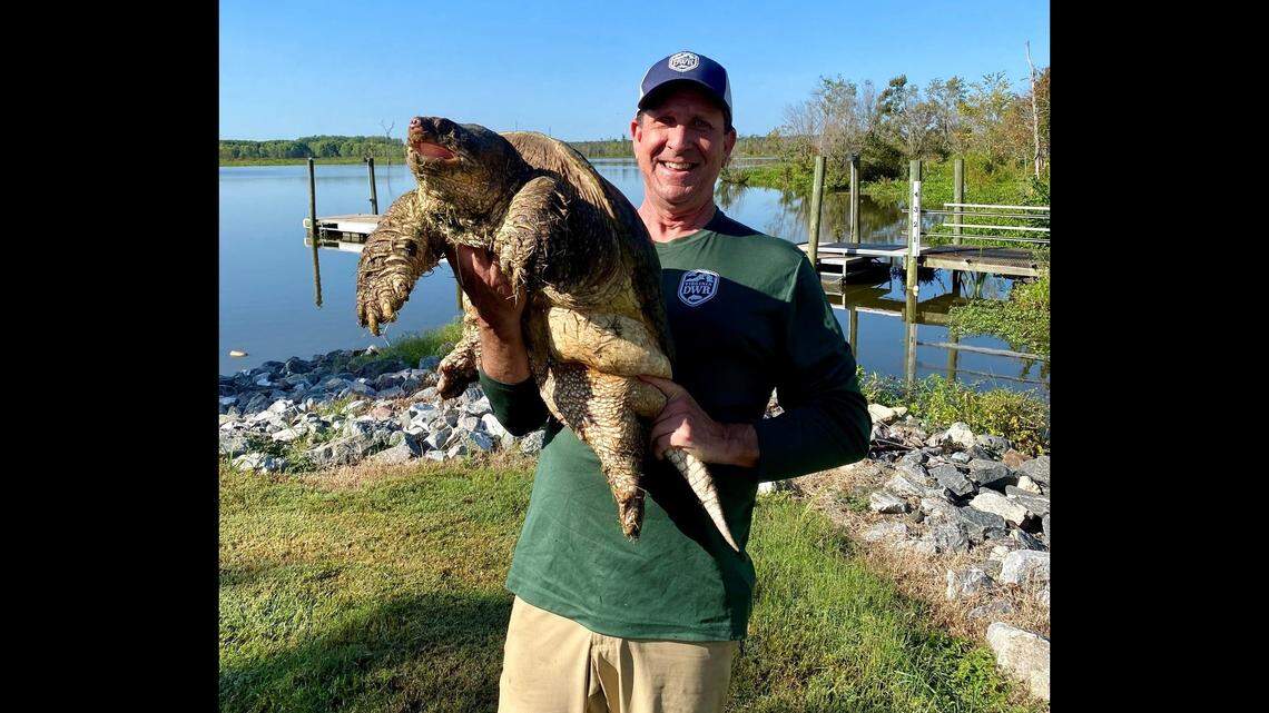 Wildlife officials called the turtle a “magnificent animal.”