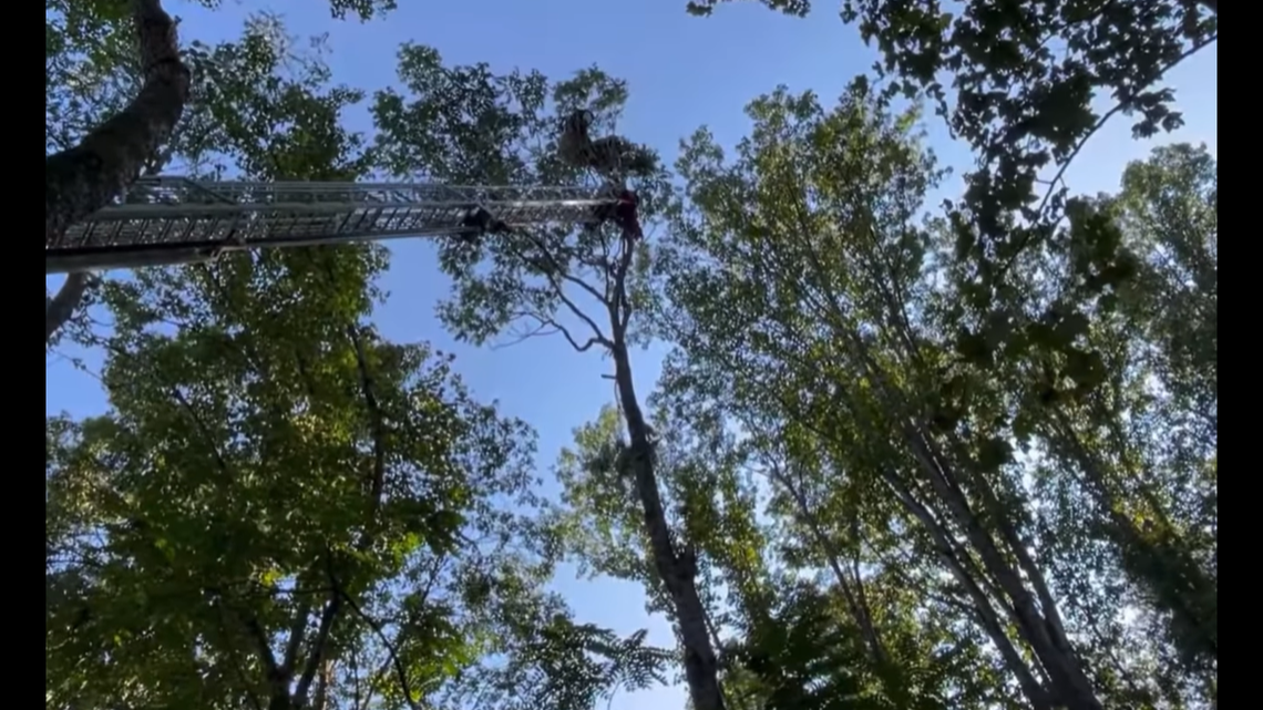 A volunteer fire rescue company in Virginia helped get an injured skydiver back to the ground after he landed in the trees.