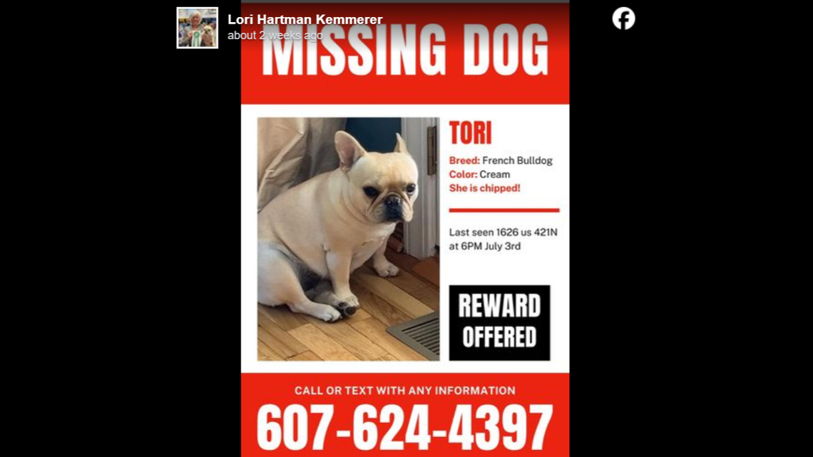 Tori the French Bulldog was taken by a FedEx driver and later died from overheating, North Carolina authorities said.