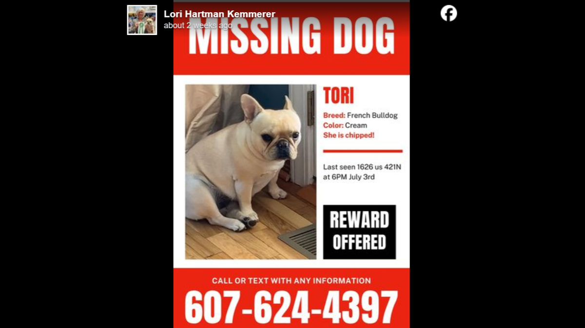 Tori the French Bulldog was taken by a FedEx driver and later died from overheating, North Carolina authorities said.