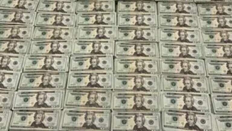 How much Columbus Finance Department audit and criminal investigations have cost