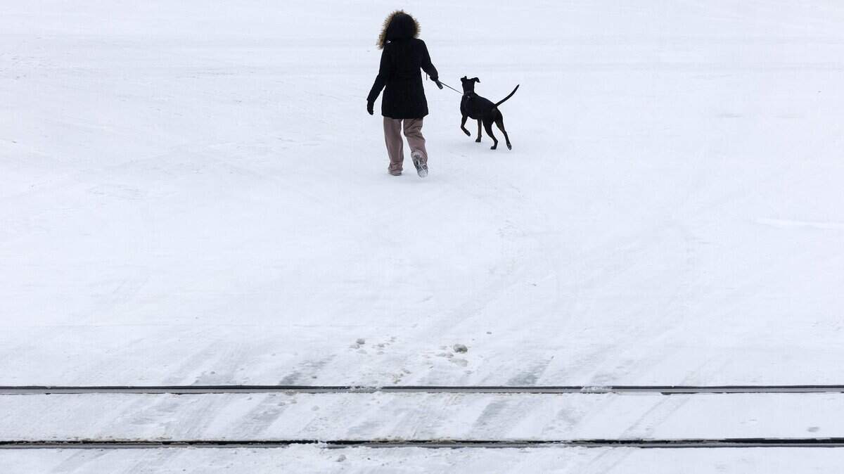 A person walks with a dog along an icy street in downtown Durham, North Carolina, on Sunday, January 25, 2026.