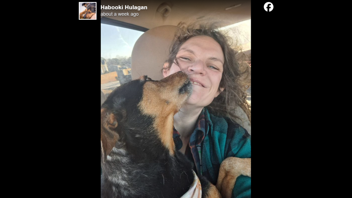 Disco was reunited with her owner in North Carolina after she went missing from her home in Arkansas more than 1,000 miles away.