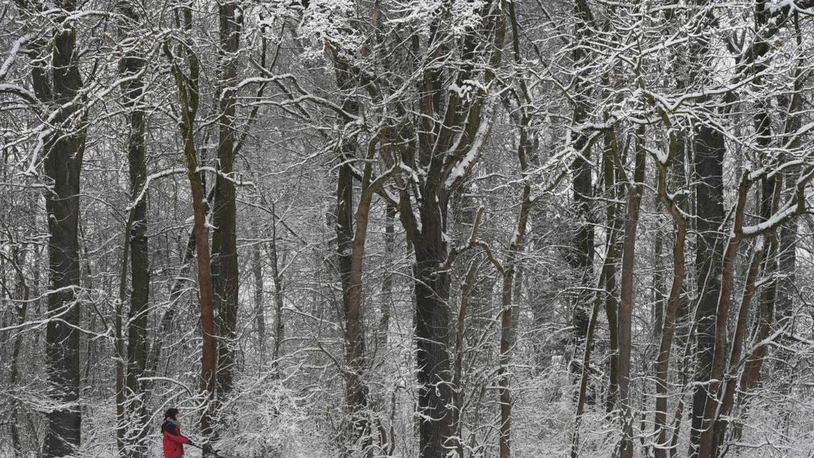 SC residents want to visit these 5 European spots for Christmas the most, Google suggests