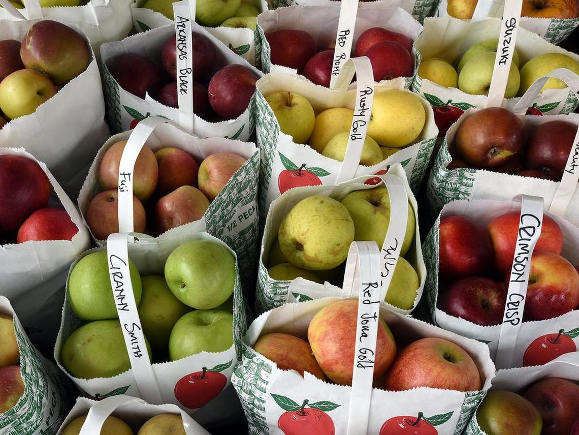 Fresh North Carolina apples are ready for fall foliage visitors to purchase in a shop on Main Street in Blowing Rock, N.C. Tuesday, October 17, 2016.