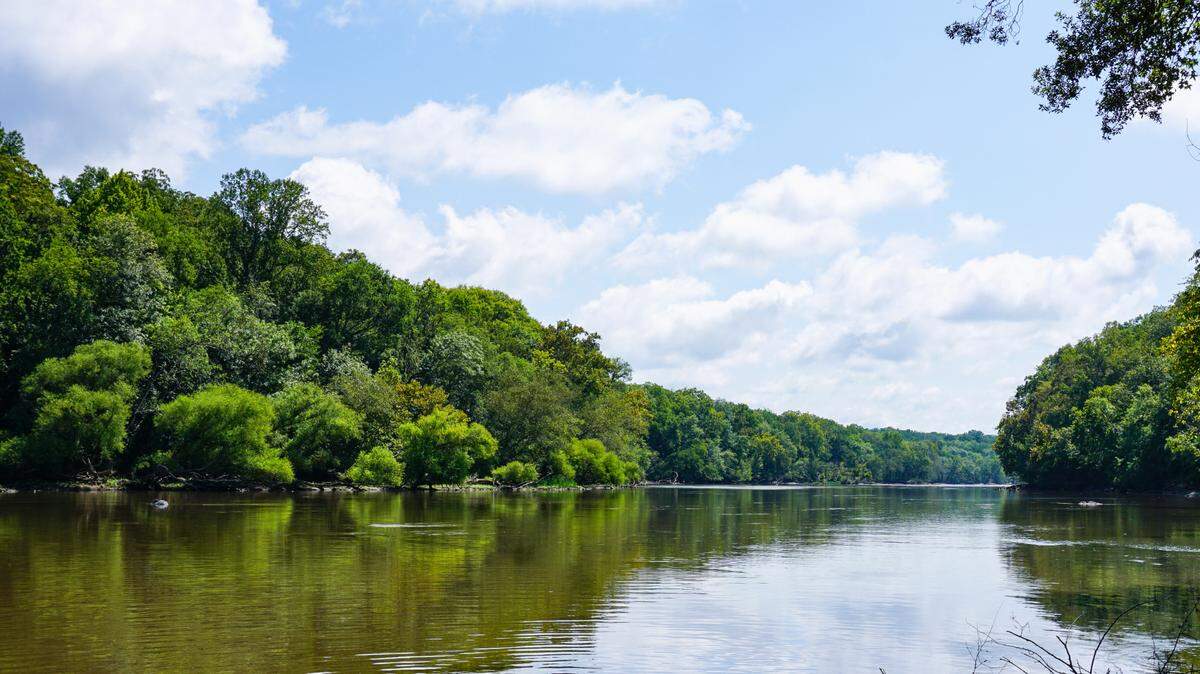 The 100-pound fish was caught on the Cape Fear River, a fishing charter said.