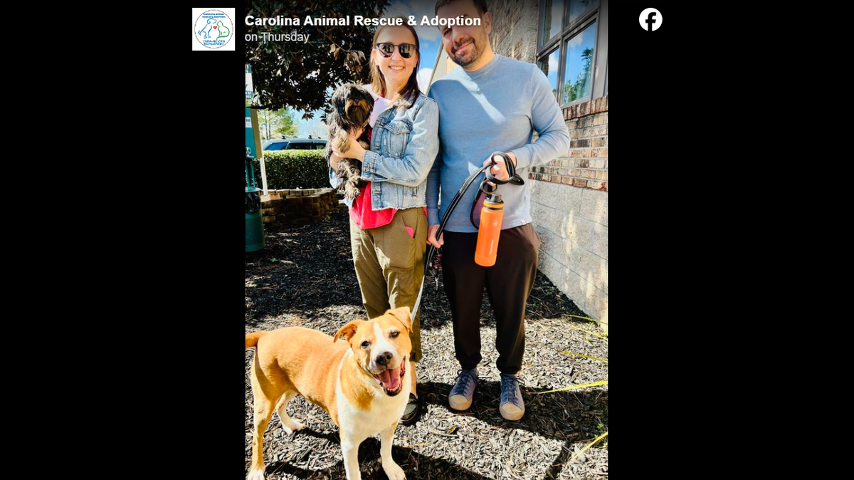 A family fell in love with Wilbur and wanted to adopt him after his surgery, a North Carolina organization said.