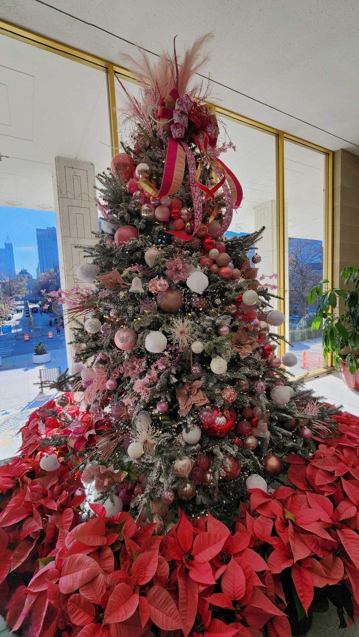 One of two Christmas trees on display at the North Carolina Legislative Building in Raleigh, pictured on Dec. 3, 2025. The window behind the tree faces Jones Street.