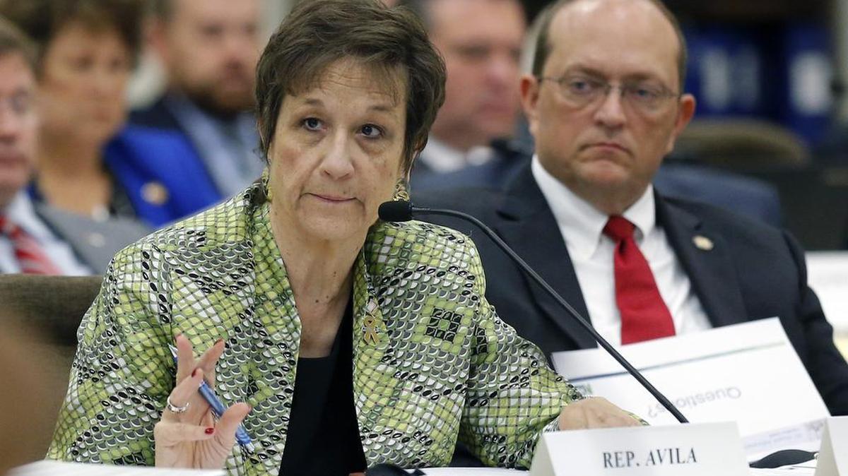 Rep. Marilyn Avila, left,poses a question as a speaker gives an update on the health information exchange implementation during the Joint Legislative Commission on Governmental Operations meeting at the Legislative Office Building in Raleigh, NC on Nov. 18, 2015. Rep. Dean Arp listens at right.