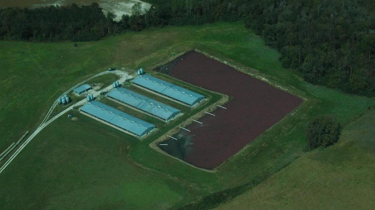 Hog waste lagoon at a farm in Duplin County.