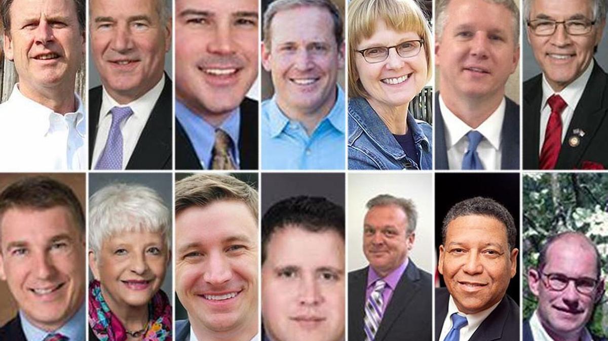 From top left: Dan Barrett, John Blust, Andrew Brock, Ted Budd, Kathy Feather, Chad Gant, Harry Warren. From bottom left: Hank Henning, Julia Craven Howard, Matt McCall, George Rouco, Farren Shoaf, Vernon Robinson, Jason Walser.