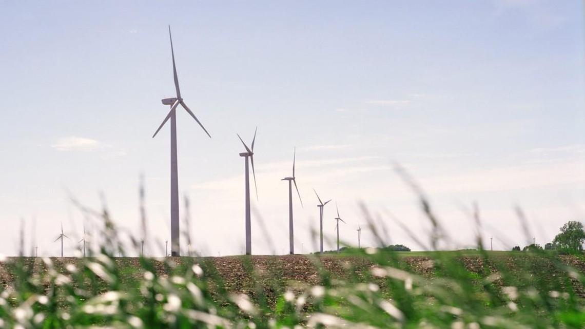 This undated photo made available by Iberdrola Renewables LLC shows wind turbines on a corn and soybean farm in Trimont, Minn. The company will be building a similar commercial-scale wind energy farm for Amazon near the coast community of Elizabeth City, N.C. (Iberdrola Renewables LLC via AP)