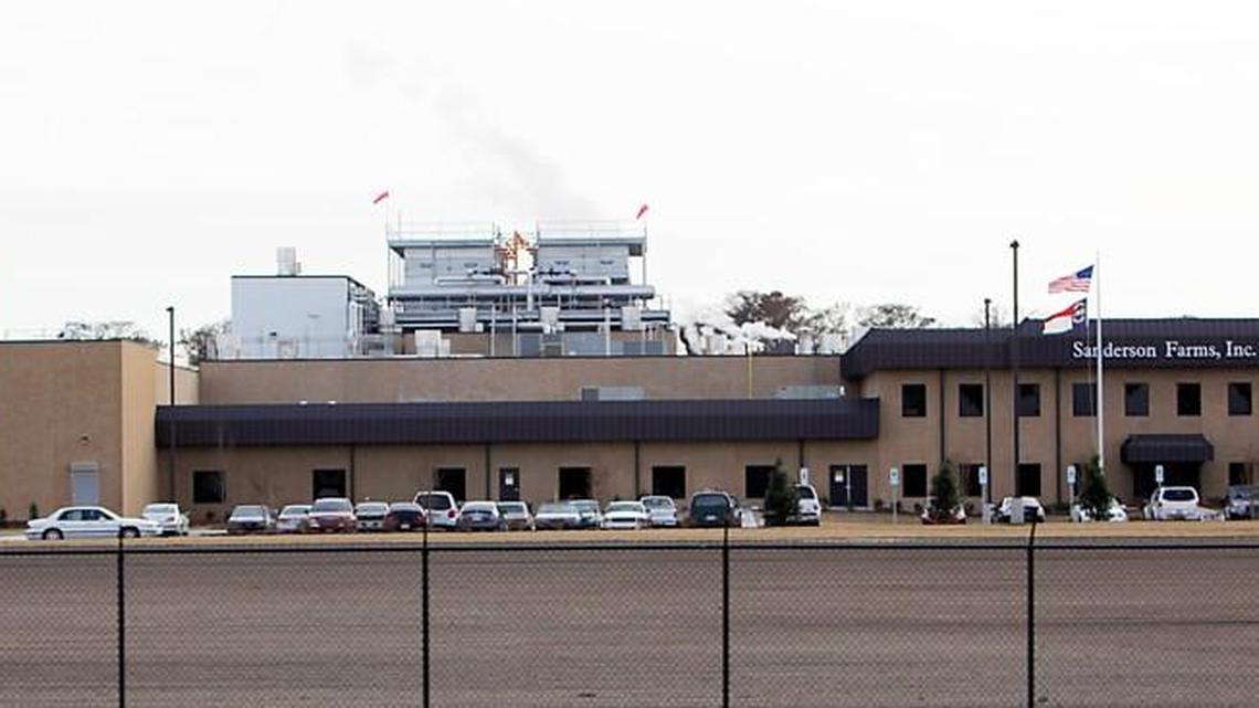 PETA says it found abuses at the Sanderson Farms poultry plant in Kinston; the company says it investigated but found no evidence that any abuses had occurred.