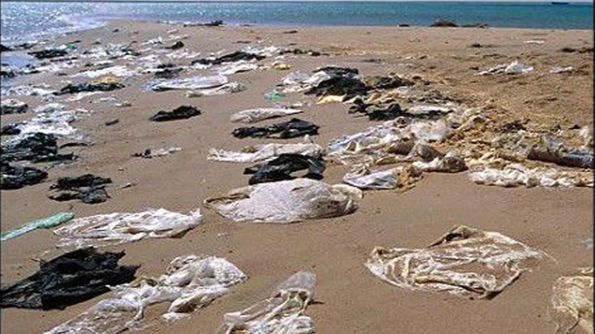 Plastic bags on an Outer Banks beach.
