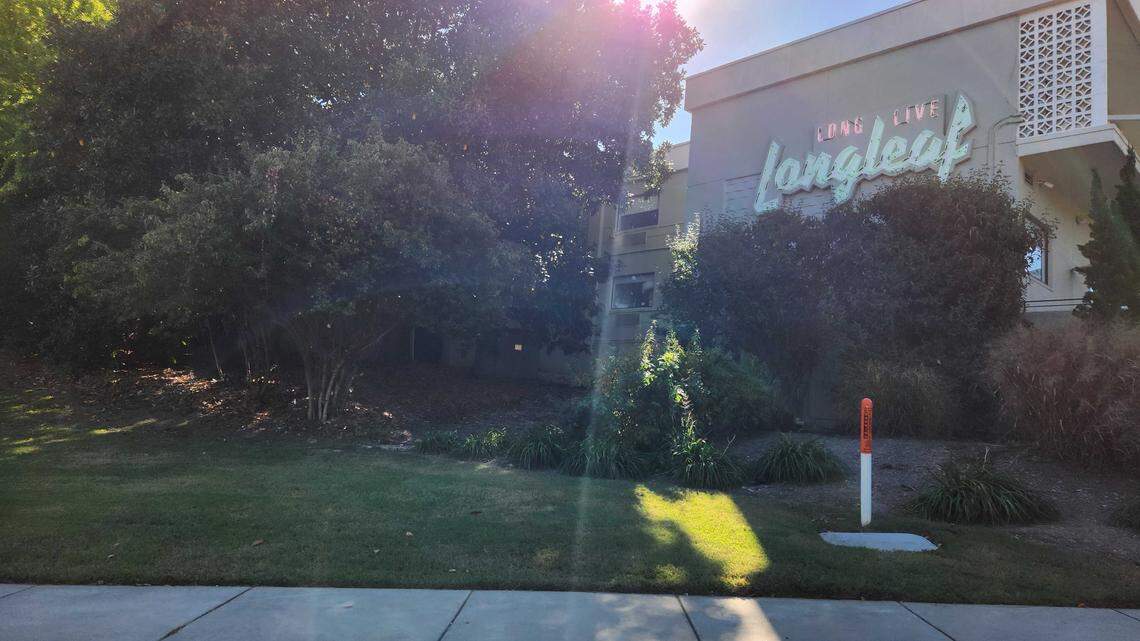 A small area with grass and a tree buffer next to Longleaf Hotel and Lounge has been owned by the state since 1953, but a new law will sell it. It also serves as a de facto entrance to downtown Raleigh that thousands of drivers pass by daily.