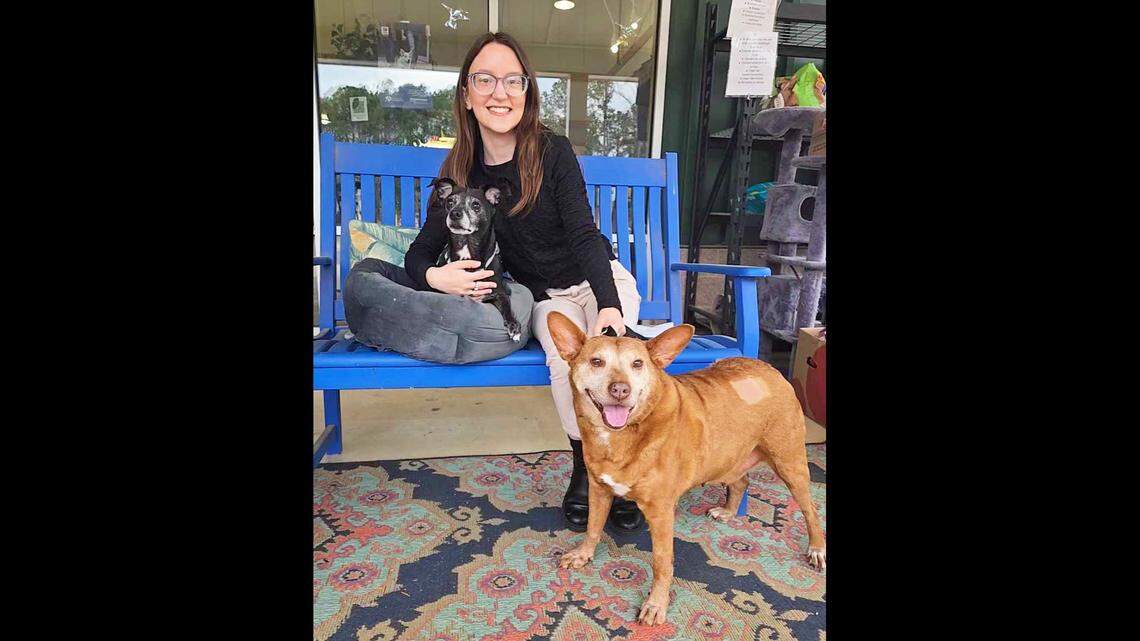 Sebastian, left, and Breezy were adopted together in North Carolina.
