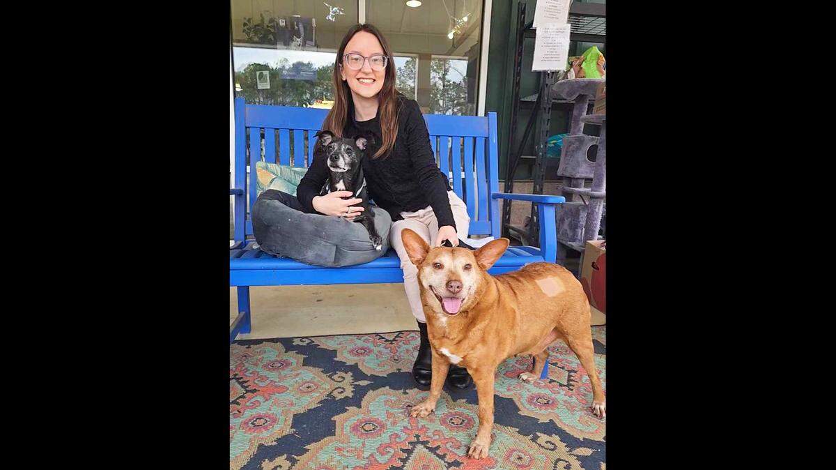 Sebastian, left, and Breezy were adopted together in North Carolina.