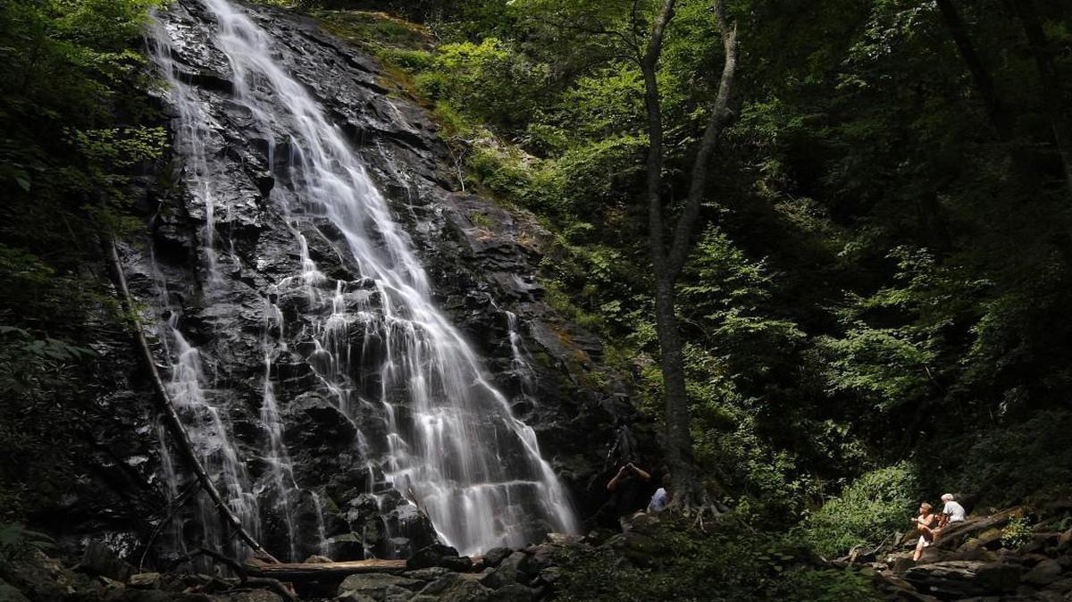 
Some facilities at Crabtree Falls were closed in 2013, but reopened last year. With most sites open this year, the number of visitors to the Parkway is up over 2014. 
