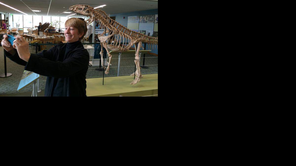 
Liz Baird, director of education for the N.C. Museum of Natural Sciences in Raleigh, takes a selfie this week in front of the skeleton of a Postosuchus, a 200-million-year-old dinosaur that greets people at the entrance to the museum’s new branch in Whiteville. 
