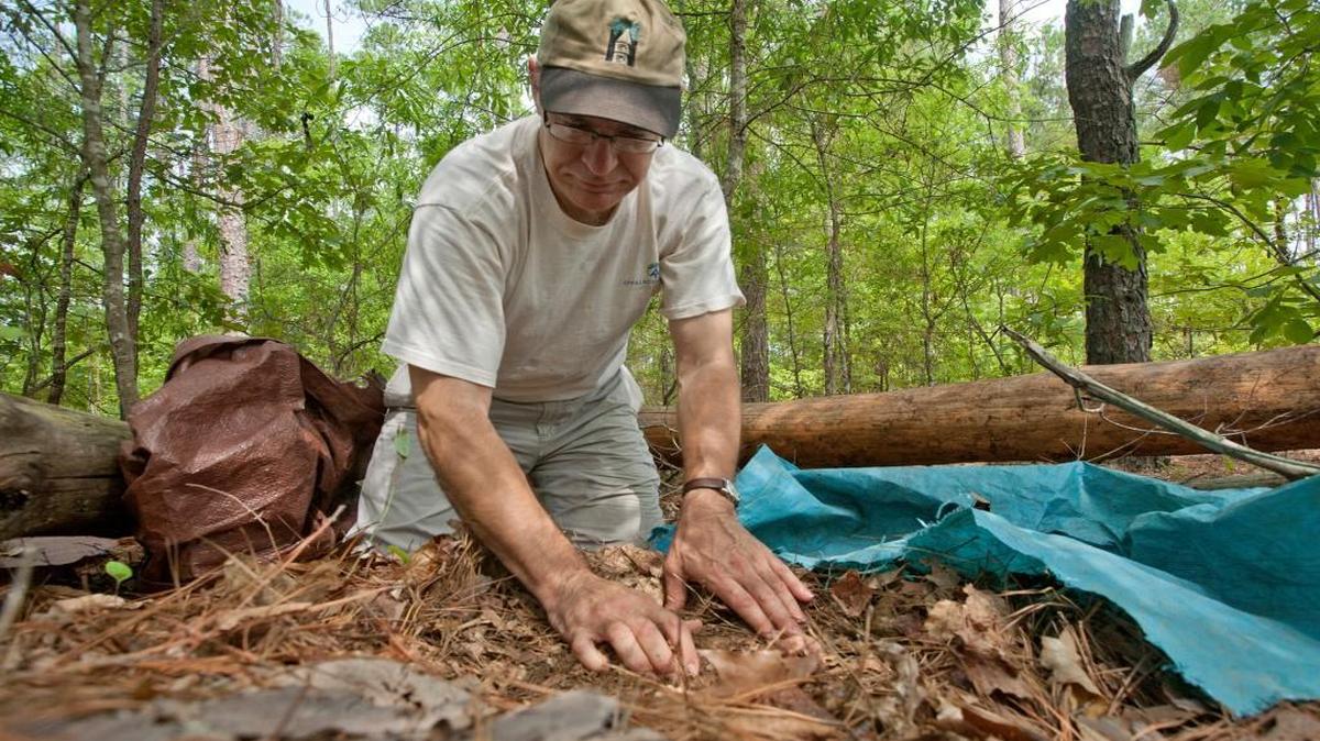 Duke University Professor Dan Richter collects soil samples at the Calhoun Experimental Forest in South Carolina in 2008.