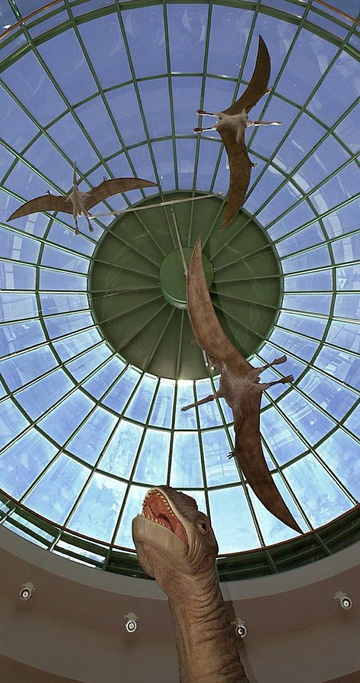Three models of winged pterosaurs circle over the head of a wounded Pleurocoelus in the “Terror of the South” exhibit at North Carolina’s Museum of Natural Sciences in Raleigh in 2000.