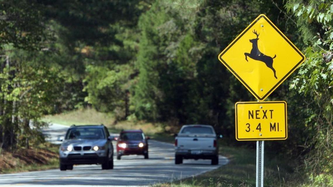 Deer crossing sign