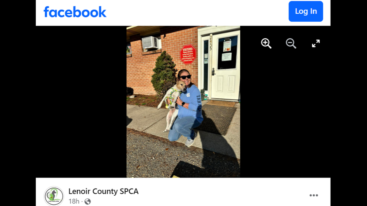 Zach has another new home after his first owner died and his second one had a stroke, a North Carolina shelter said.