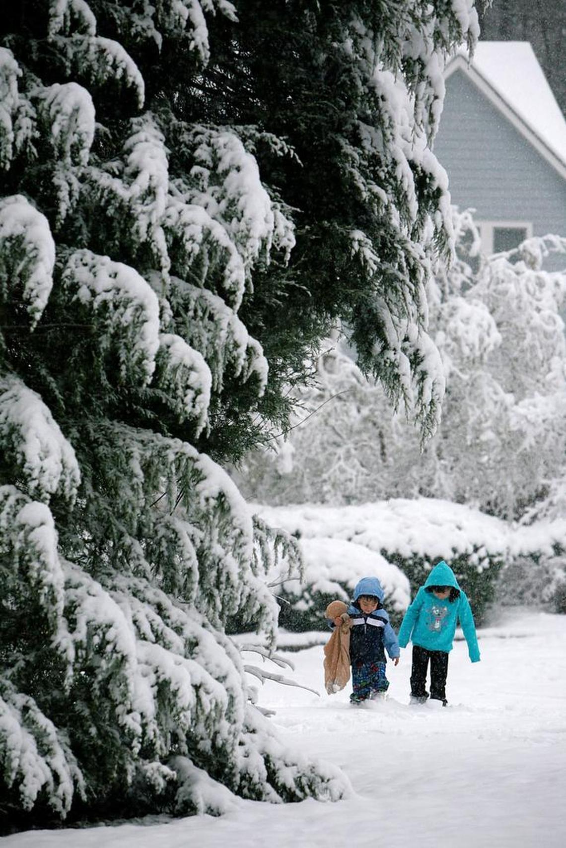 Michael VanHook, left, holding his stuffed animal, walks with his sister, Sofia VanHook, outside their home in Chapel Hill in December 2010.