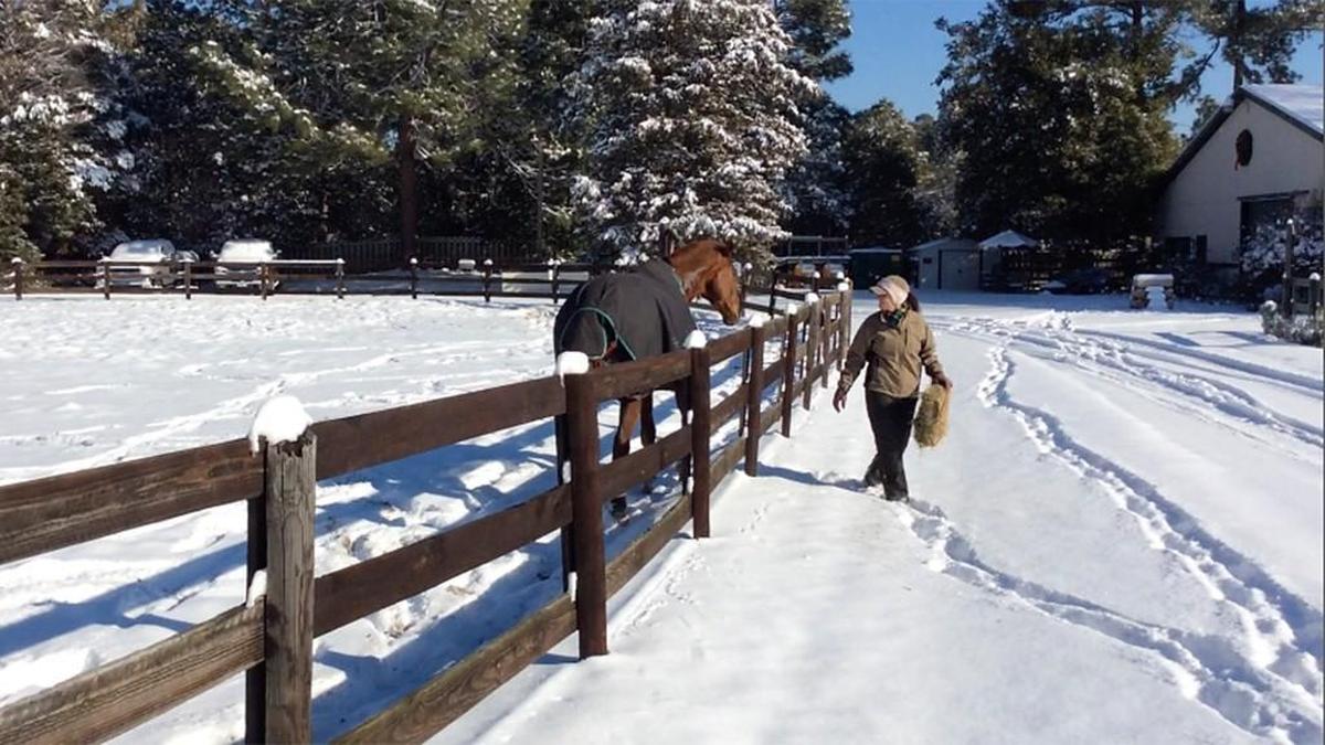 Jasmine Hobart, who tends 14 horses at Tanglewood Farm on May Road outside Southern Pines, spent Thursday morning taking hay and warm water to the animals. The area got about five inches of snow.