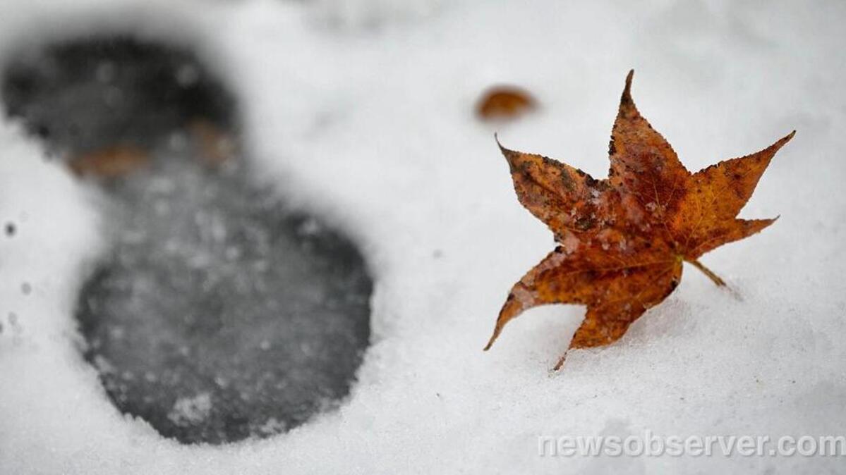 A fallen maple leaf adds a splash of color to the barren snow covered landscape at Cameron Park on Sunday, December 9, 2018 in Raleigh, N.C.