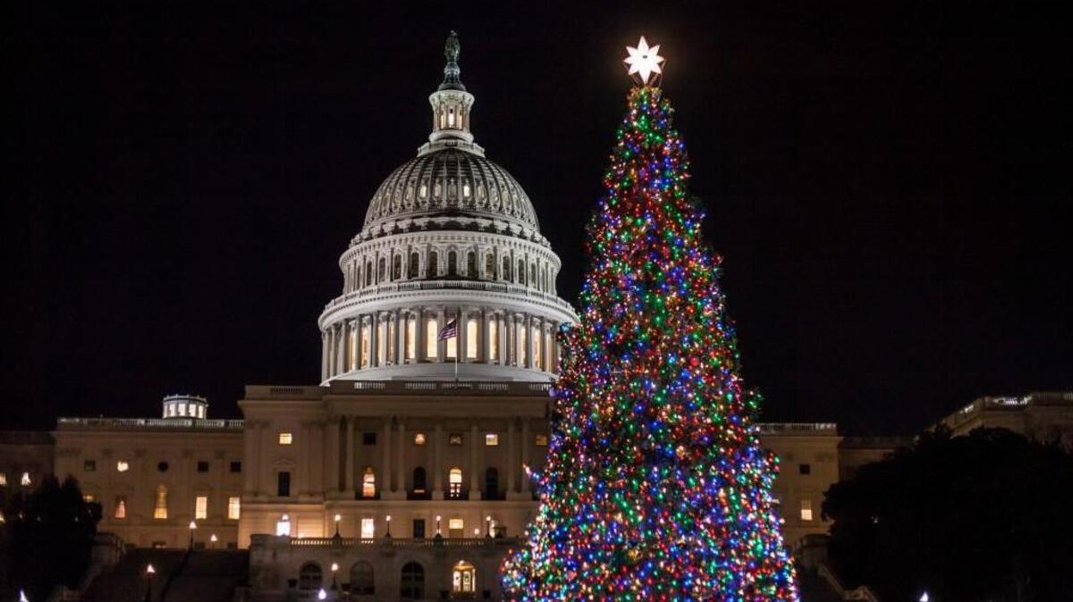 The Capitol Christmas tree is illuminated as lawmakers in the Senate work late into the evening on the Republican tax bill, in Washington, Tuesday, Dec. 19, 2017.