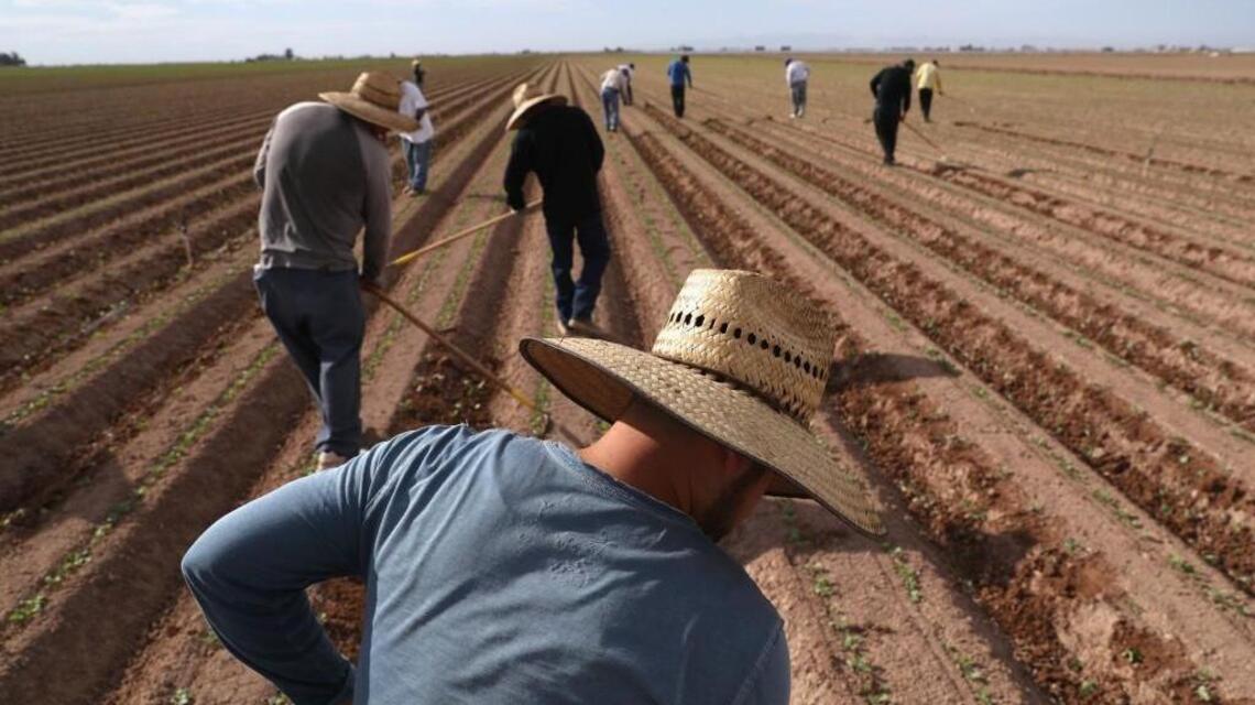 Sheriff Jeff Dirkse’s common-sense solution to California’s immigration mess | Opinion