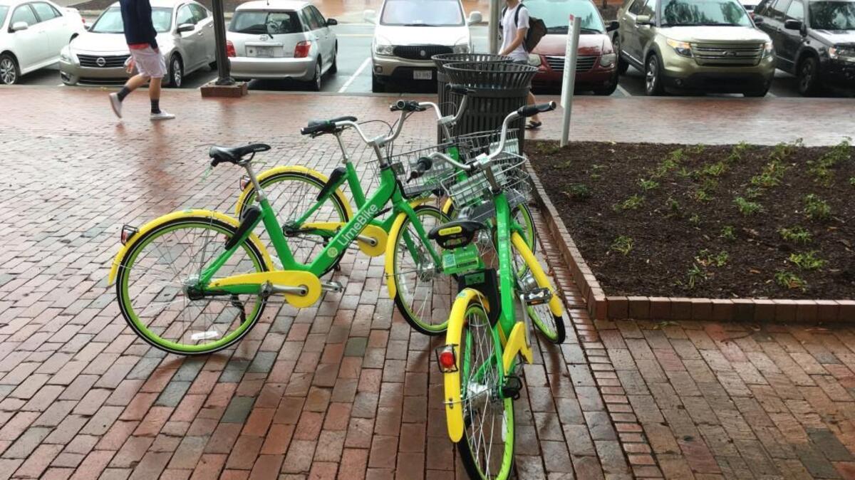 Alcohol is a suspected factor in the fatal collision that claimed the life of a LimeBike rider in Charlotte