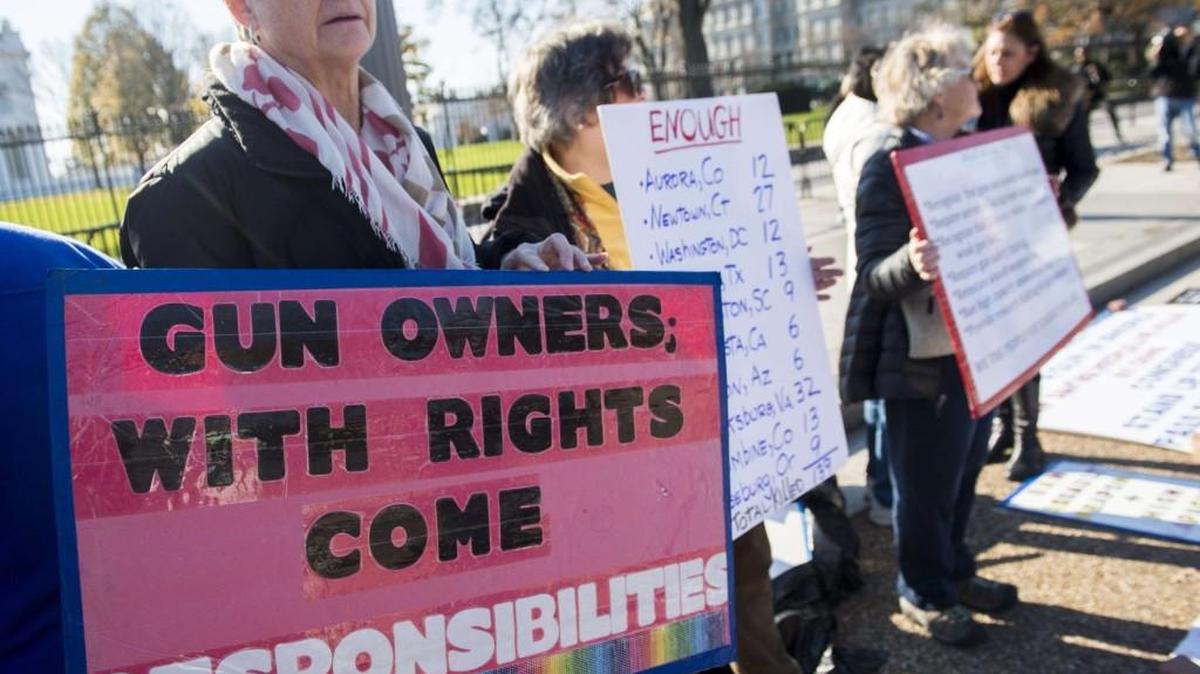 Protesters with the group “We the People for Sensible Gun Laws” rally for gun safety legislation in Washington.