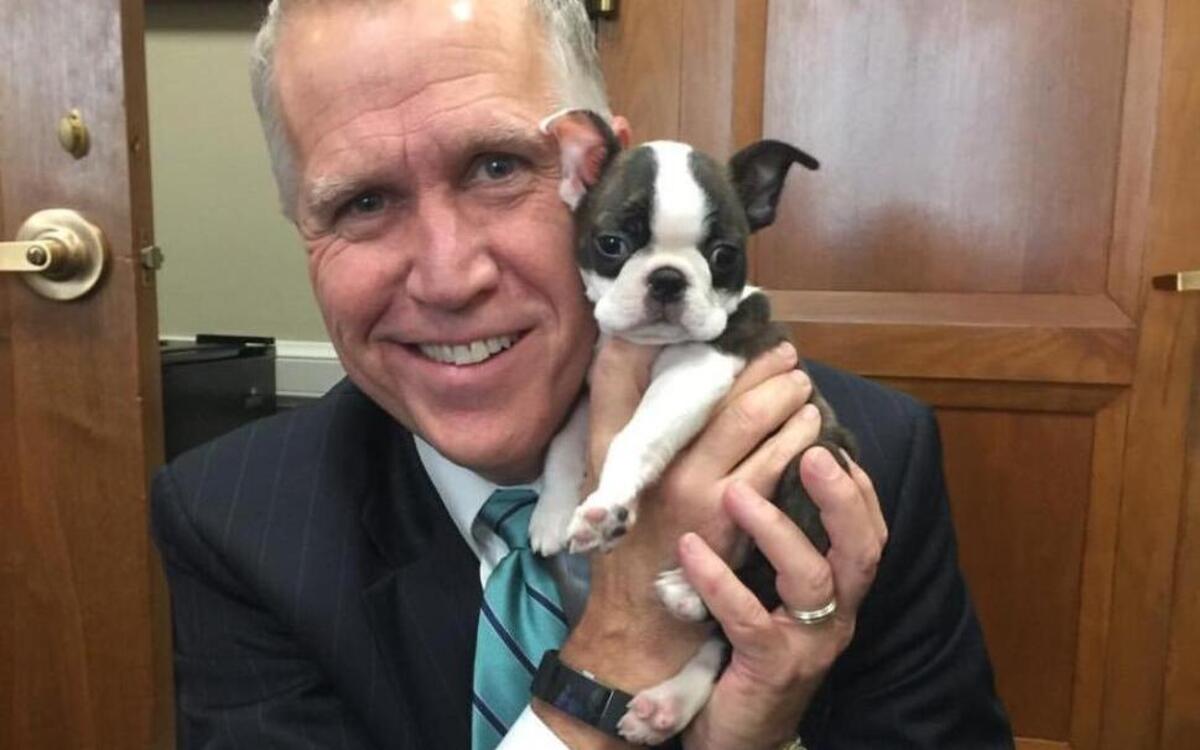 Sen. Thom Tillis with his office dog Tilly.