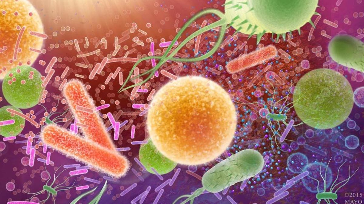 Superbugs ​kill an estimated 700,000 people worldwide each year. A Duke University infectious disease specialist says one promising policy solution is the PASTEUR Act, a bipartisan bill advancing through Congress.