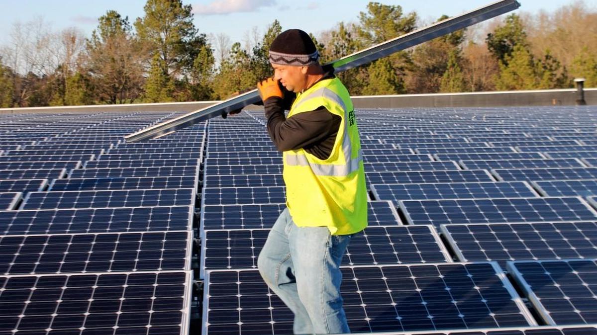 
Solar farms are becoming increasingly popular in the Triangle.
