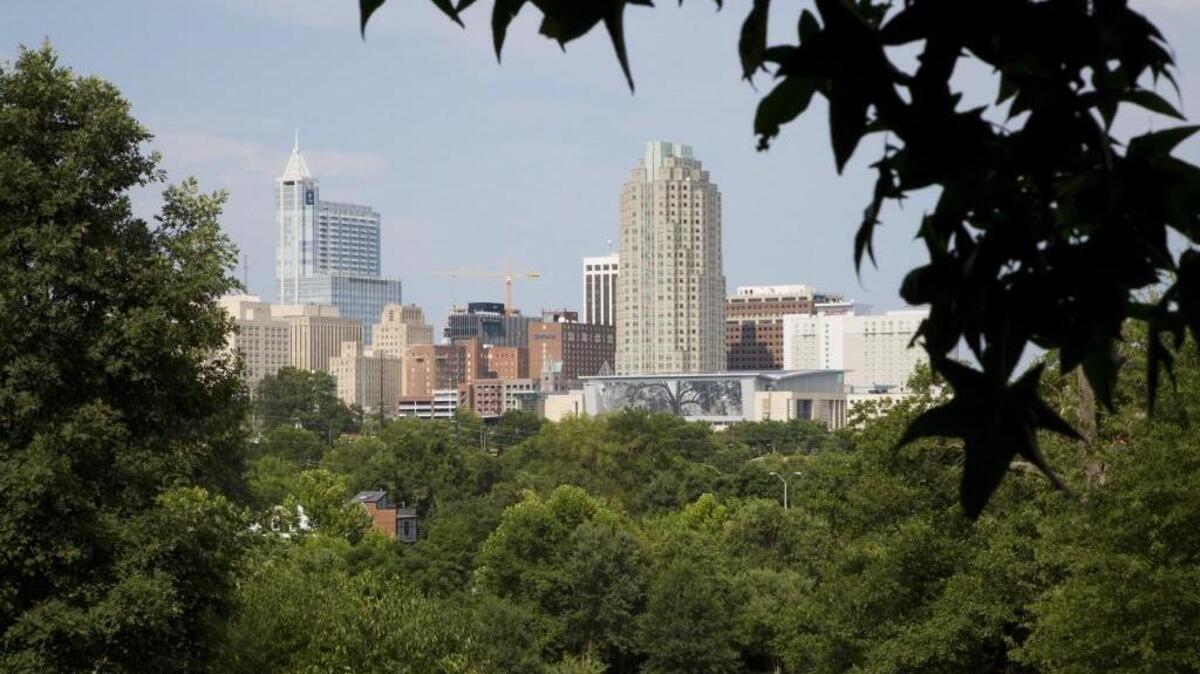 A view of Raleigh from the Dix property.