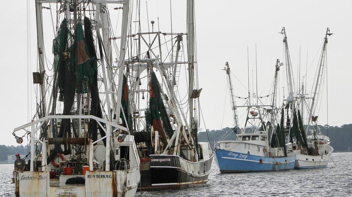 A flotilla of about a dozen shrimp trawlers gathered in the waters at New Bern as N.C. Marine Fisheries Commission Advisory Committee weighed shrimping limits there in 2013.