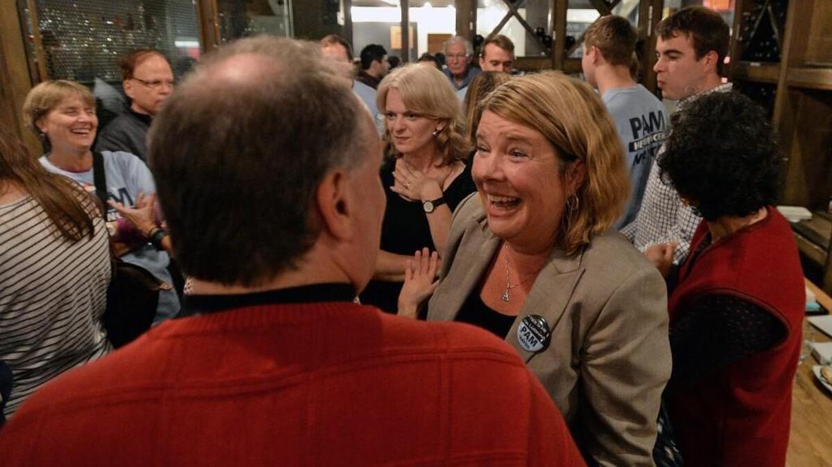 Pam Hemminger is the new mayor of Chapel Hill. Affordable housing and growth were campaign issues.