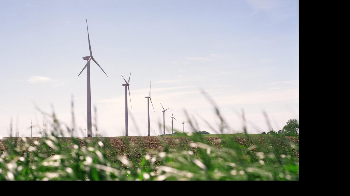 
This undated photo made available by Iberdrola Renewables LLC shows wind turbines on a corn and soybean farm in Trimont, Minn. The company will be building a similar commercial-scale wind energy farm near the coast community of Elizabeth City, N.C. 
