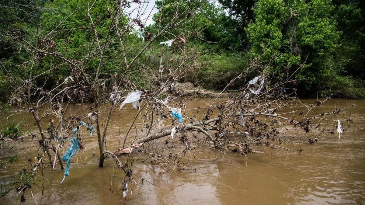Shredded plastic bags deposited by floodwaters cling to branches along Crabtree Creek Trail on the Capital Area Greenway Thursday, April 27, 2017. Heavy rains caused flooding along much of the greenway causing washouts, buckled boardwalks and slick muddy conditions.