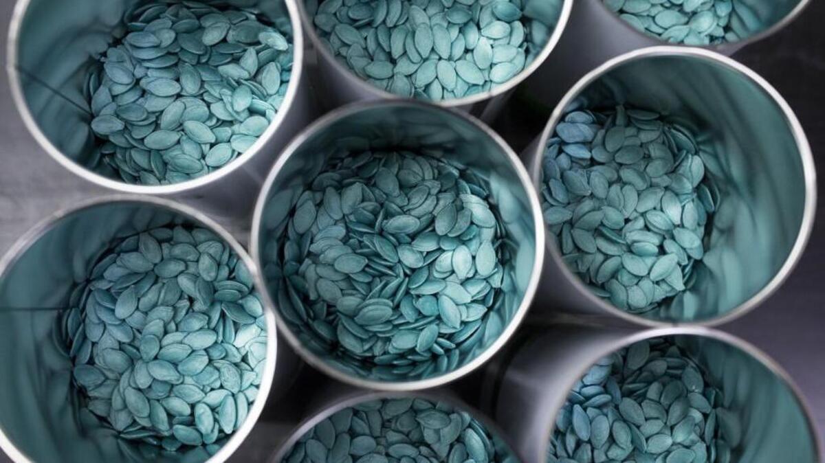 Hybrid squash seeds sit in unsealed tins at the Seminis processing plant, the vegetable seeds division of Monsanto Co., in Enkhuizen, Netherlands.