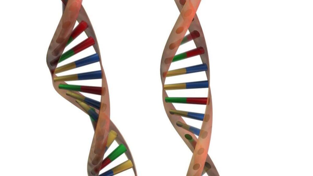 
DNA
