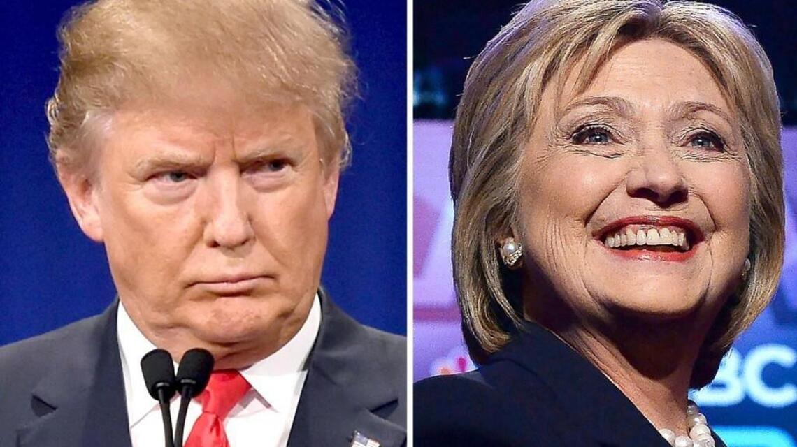 Clinton, Trump and our bird-brained election
