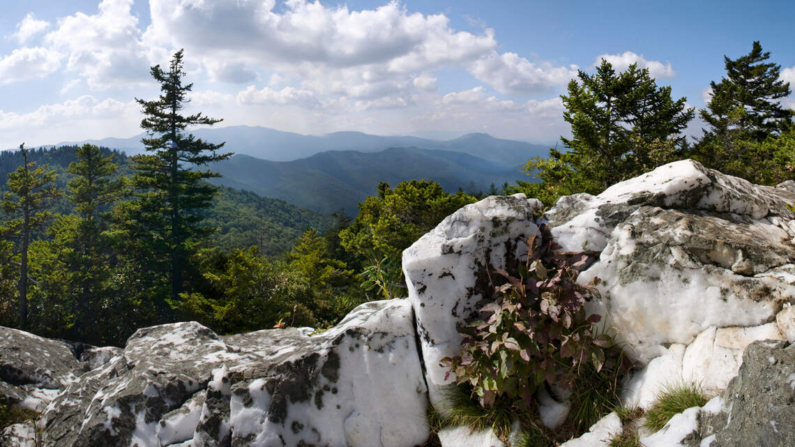 Senior Living Options Across North Carolina for Every Stage of Life