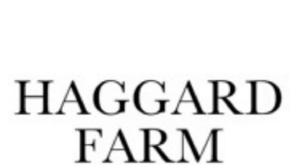 Haggard Farm Mixed-Use Development Tops $300 Million Under Construction as Stillwater Capital Advances Towards Fall 2027 Opening 