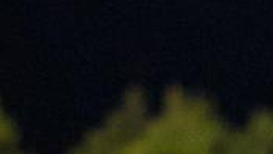 Sandy Roberts, a former state champion runner at Broughton, runs in a race that was the forerunner of the Sir Walter Miler in 2013.